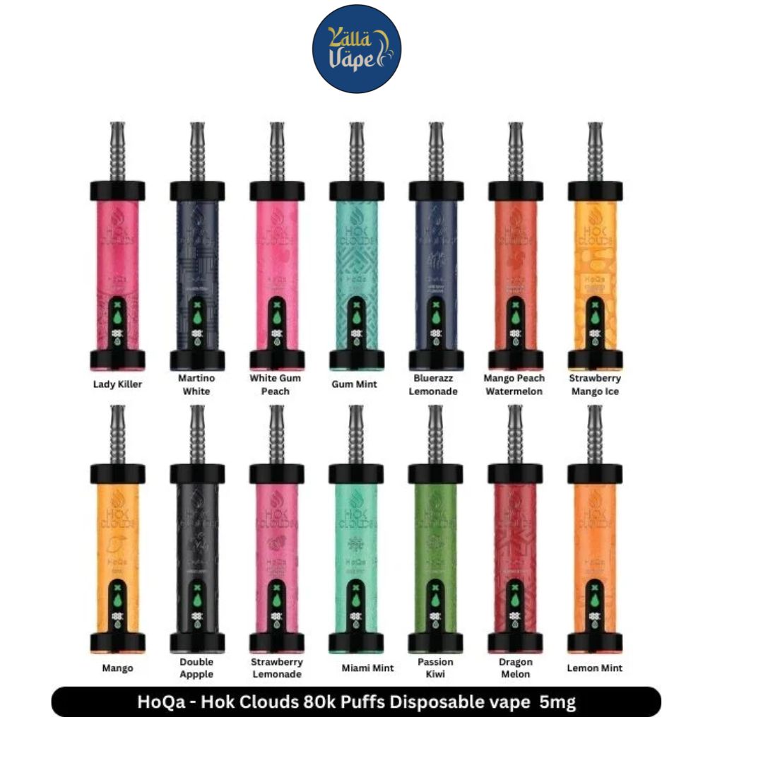 HoQa Hok Clouds 80k Puffs Disposable Vape In Dubai UAE  YALLA VAPE