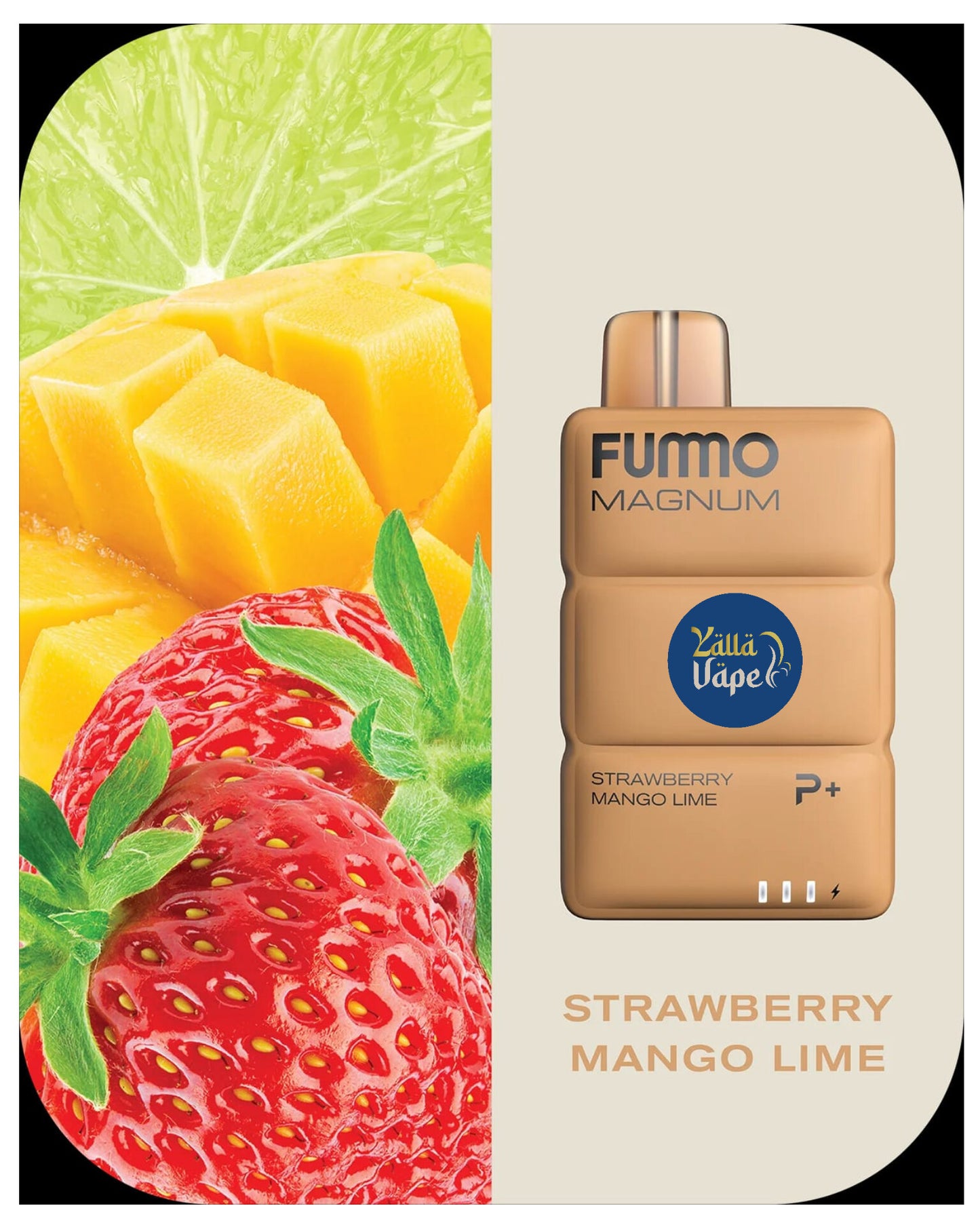 FUMMO MAGNUM 8000 Puffs