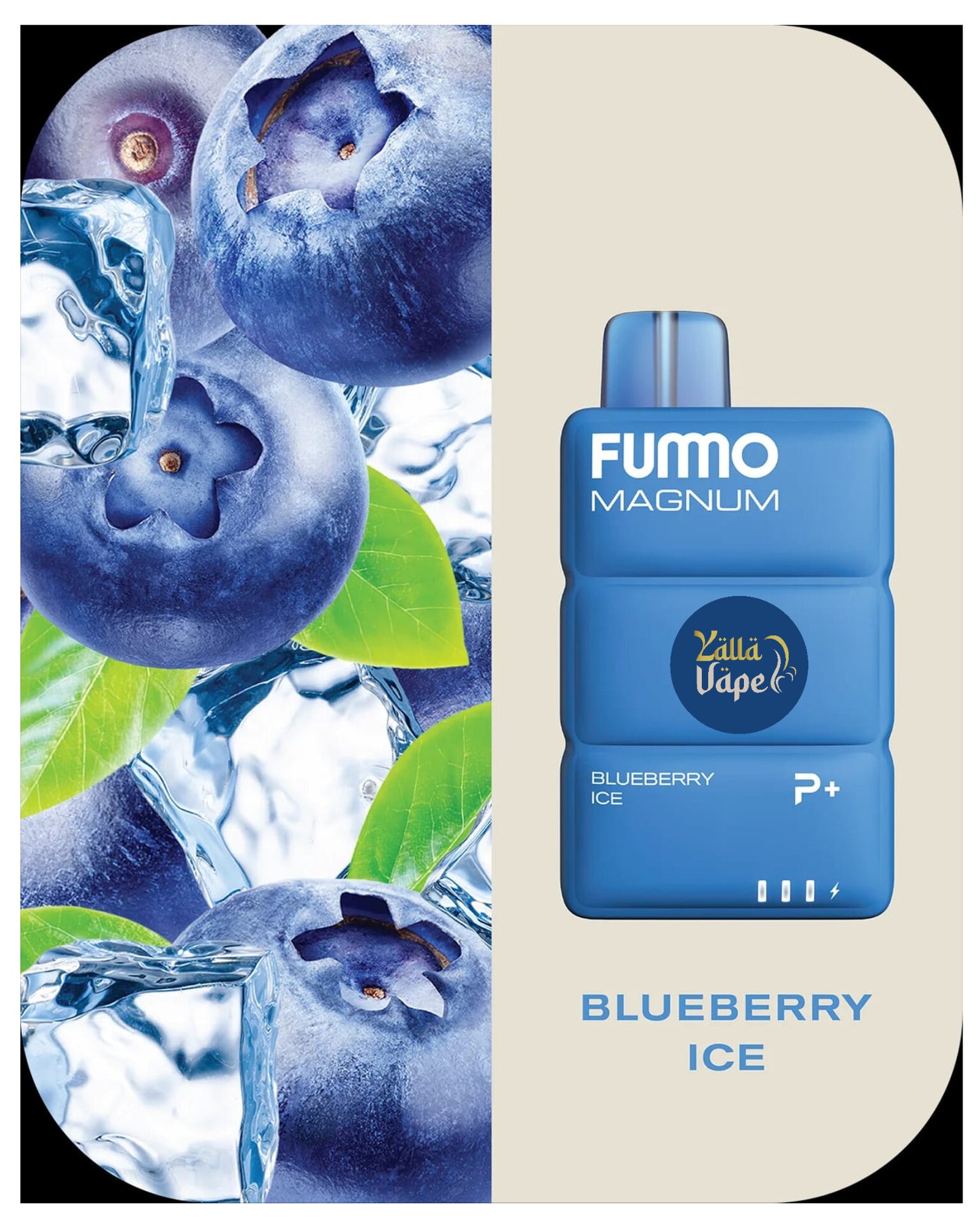 FUMMO MAGNUM 8000 Puffs