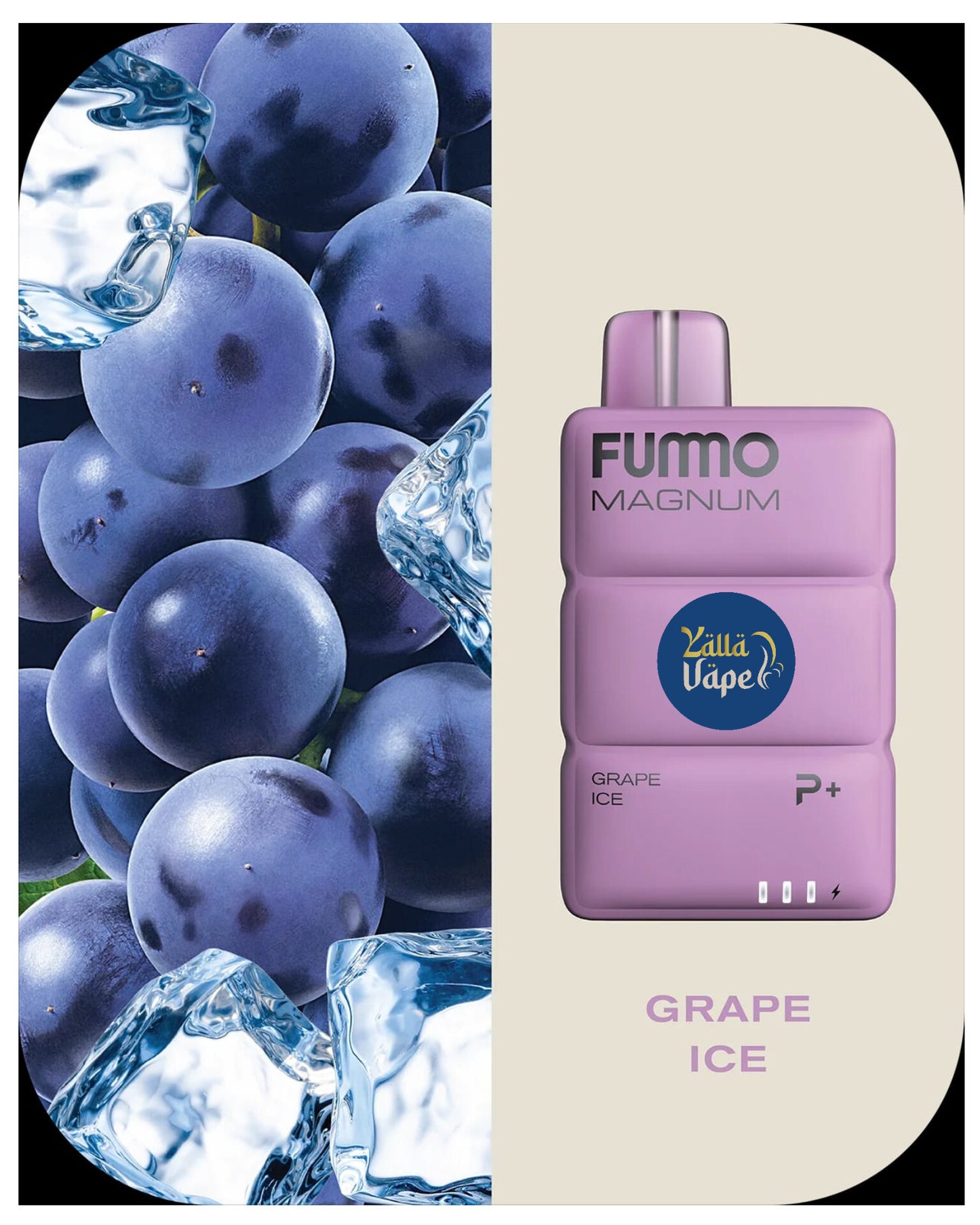 FUMMO MAGNUM 8000 Puffs