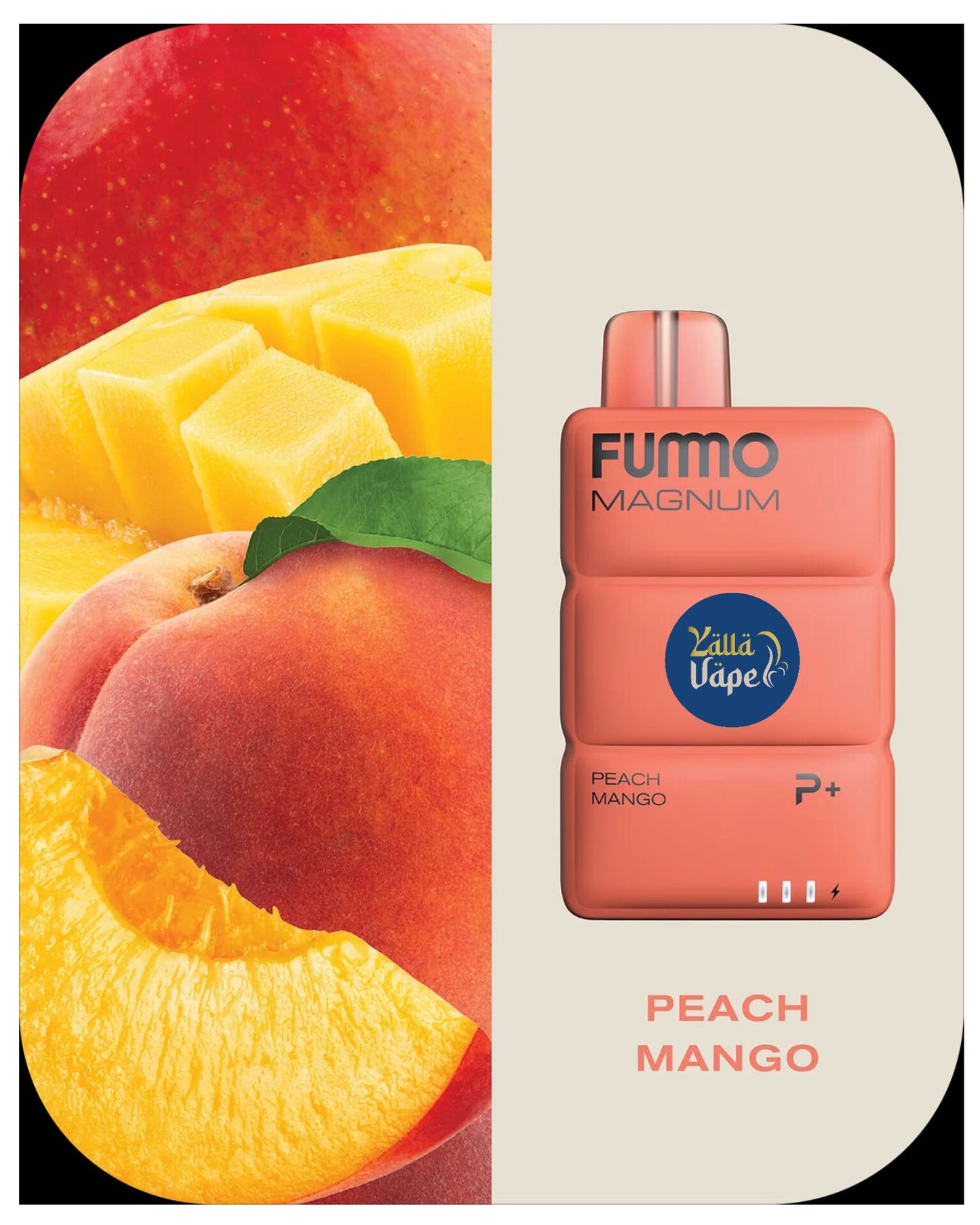 FUMMO MAGNUM 8000 Puffs