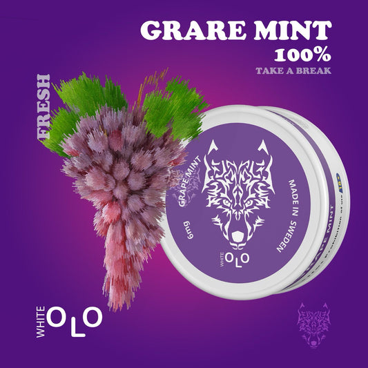 Buy White OLO Nicotine Pouches Online in Dubai & UAE | Fast Delivery