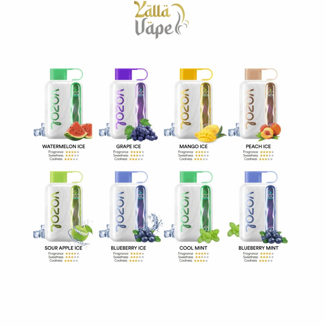 Vozol Star 40000 Puffs Disposable Vape — Best Price in Dubai UAE