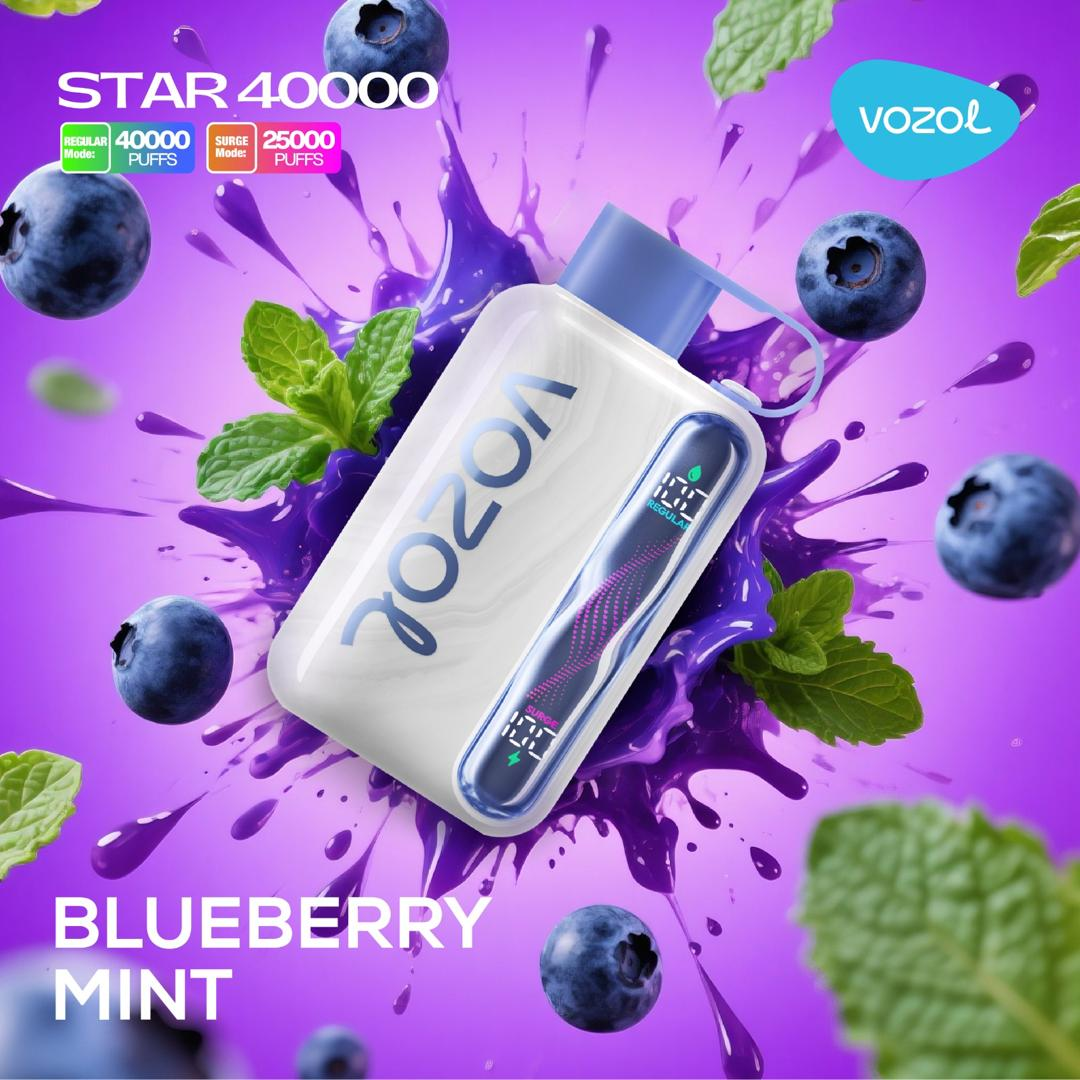 Vozol Star 40000 Puffs Blueberry Mint disposable vape, cool mint twist, fast Type-C charge — UAE.