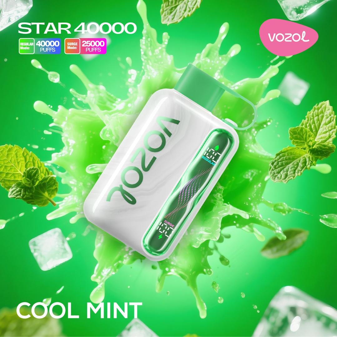 Vozol Star 40000 Puffs Cool Mint disposable vape, icy draw, USB-C recharge, fast UAE shipping.