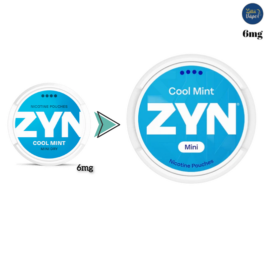ZYN Cool Mint Mini 6 mg (formerly Cool Mint Mini Dry) nicotine pouches – 4-dot mini dry mint, tobacco-free. Buy Dubai, Abu Dhabi, Sharjah & UAE.