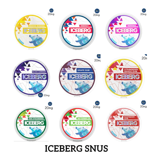 IceBerg SNUS all flavors 20mg In Dubai UAE