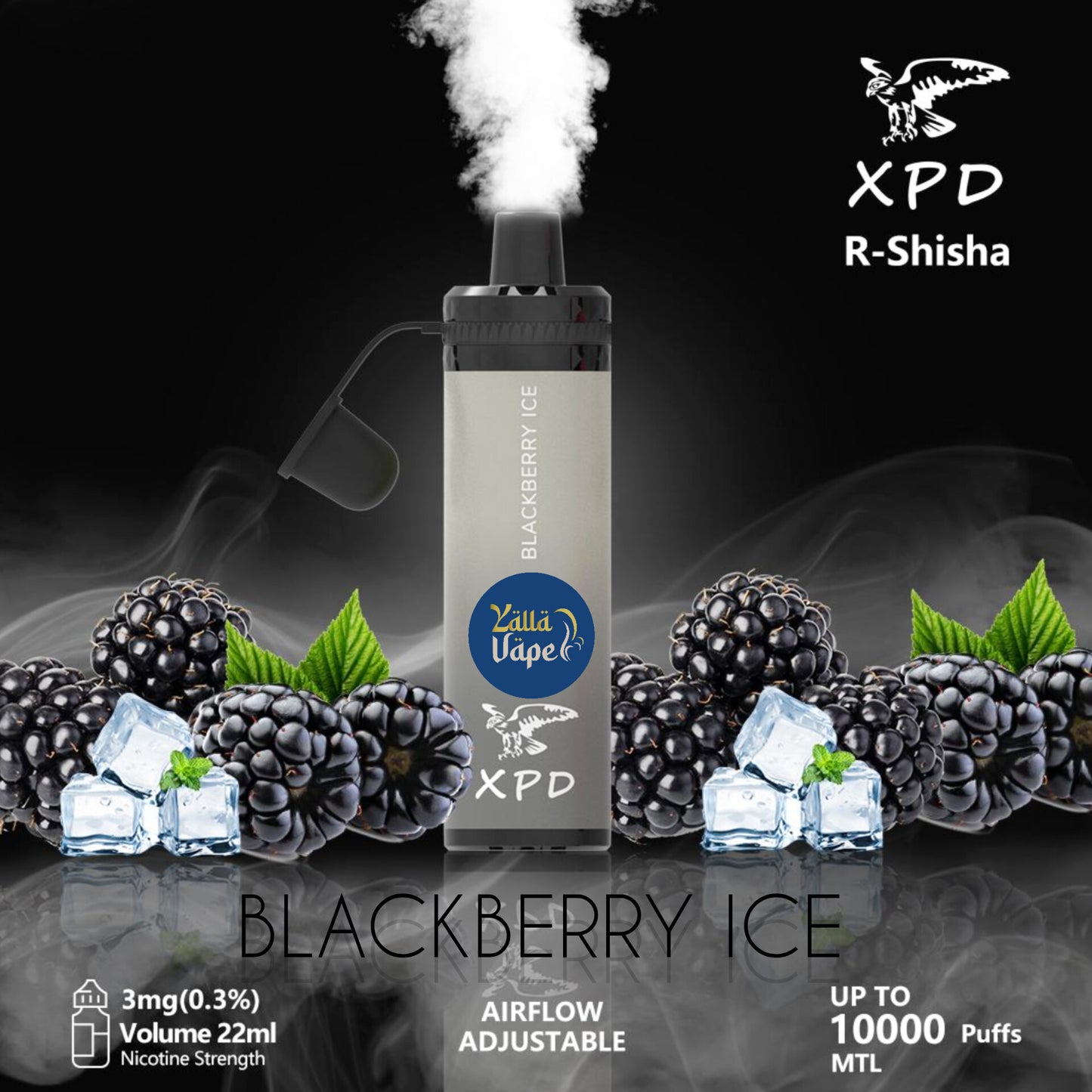 XPD BAR R SHISHA 3mg Nicotine 10000 Puffs