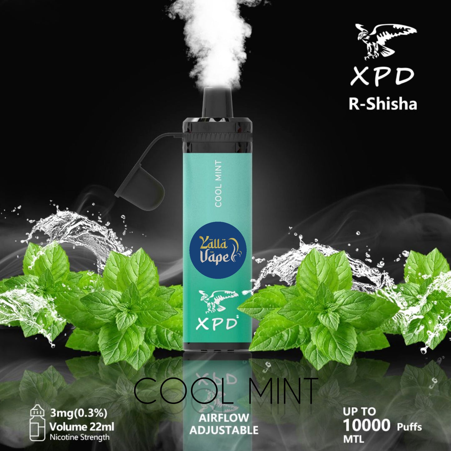 XPD BAR R SHISHA 3mg Nicotine 10000 Puffs