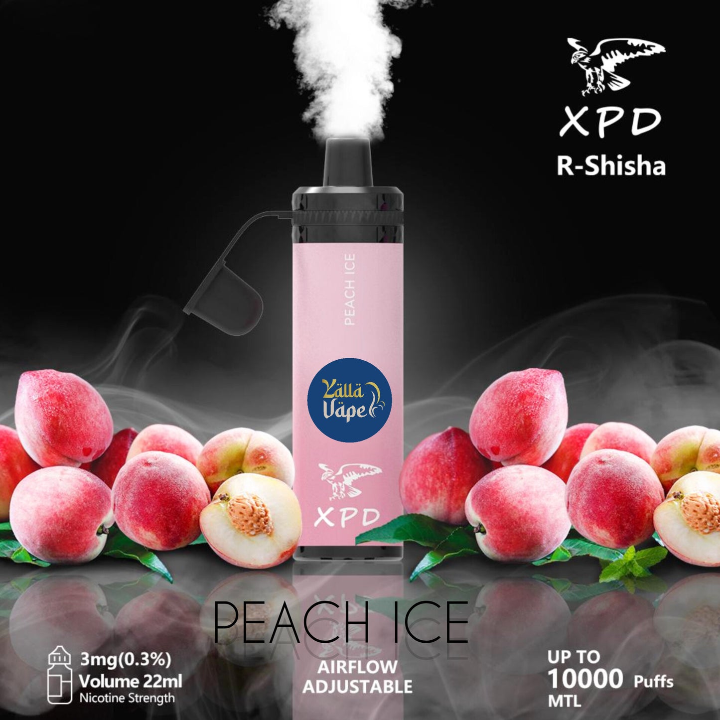 XPD BAR R SHISHA 3mg Nicotine 10000 Puffs