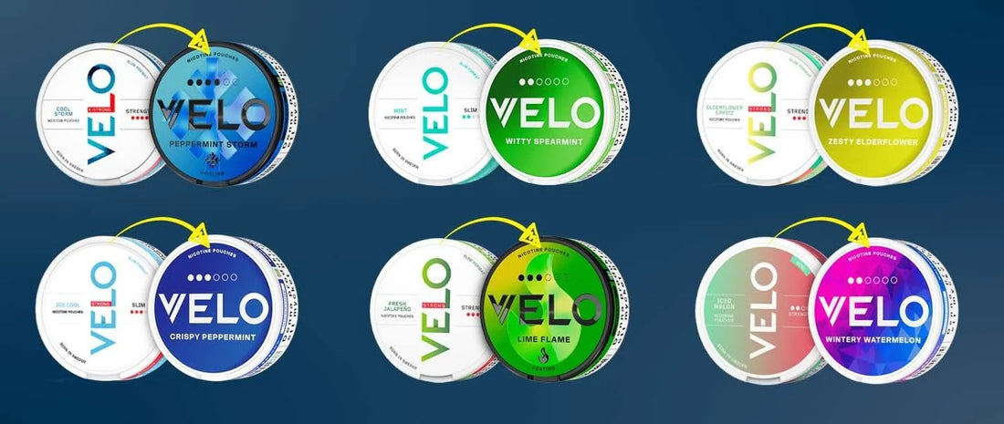 VELO Nicotine Pouches Review in Dubai UAE