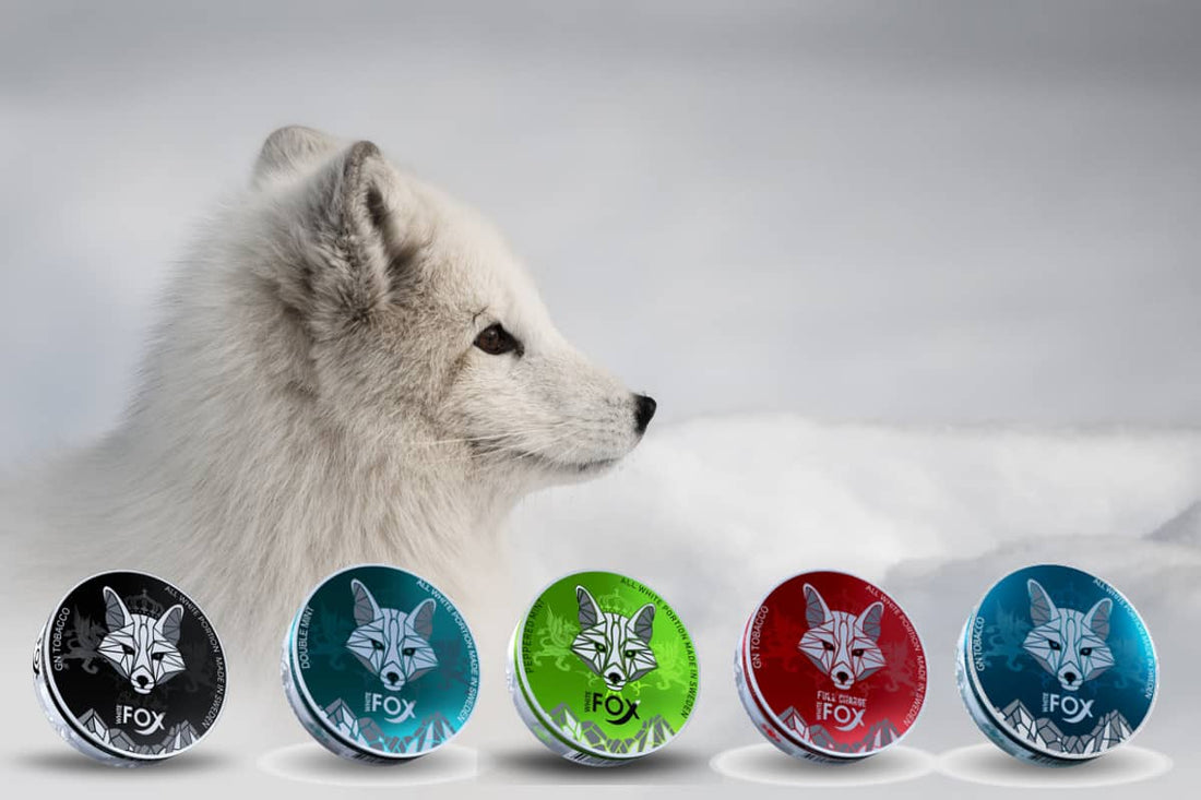 Why WHITE FOX Nicotine Pouches is best choice