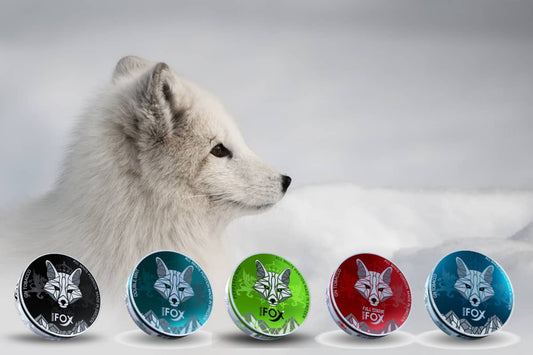 Why WHITE FOX Nicotine Pouches is best choice