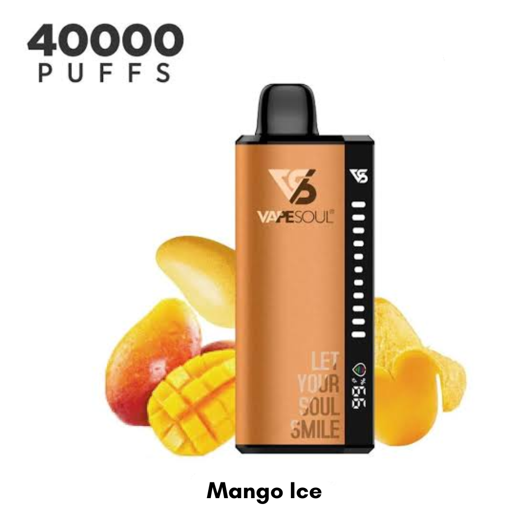 VapeSoul 40K Puffs 20mg Disposable Vape – Dubai & UAE Delivery