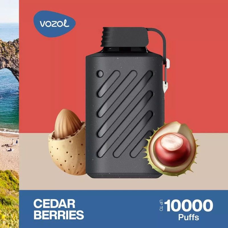 VOZOL GEAR 10000 puffs