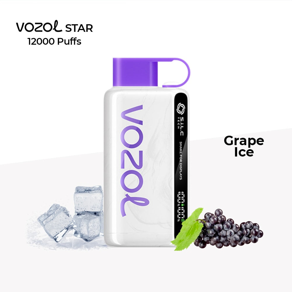 VOZOL STAR 12000 Puffs