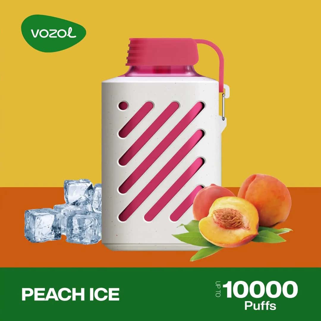 VOZOL GEAR 10000 puffs