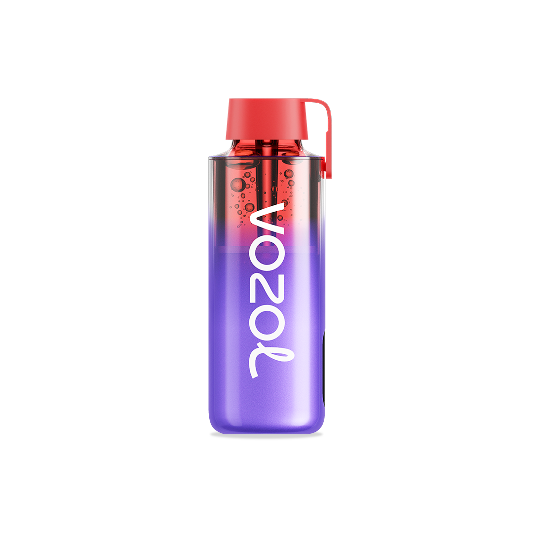 VOZOL NEON 10000 puffs