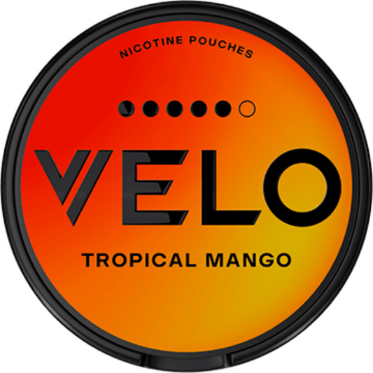 Close-up of Velo Tropical Mango 14mg 5‑Dot Nicotine Pouches pack on white background—fresh mango flavor, fast UAE delivery