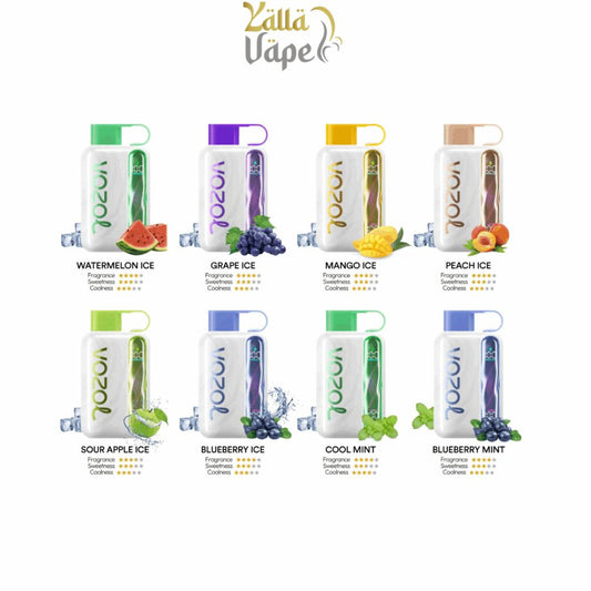 Vozol Star 40000 Puffs Disposable Vape — Best Price in Dubai UAE