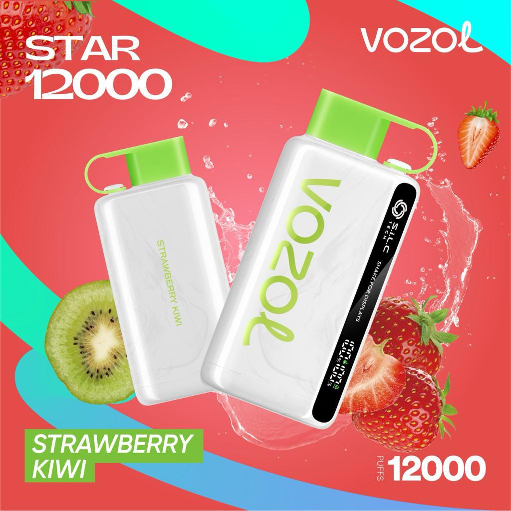 VOZOL STAR 12000 Puffs