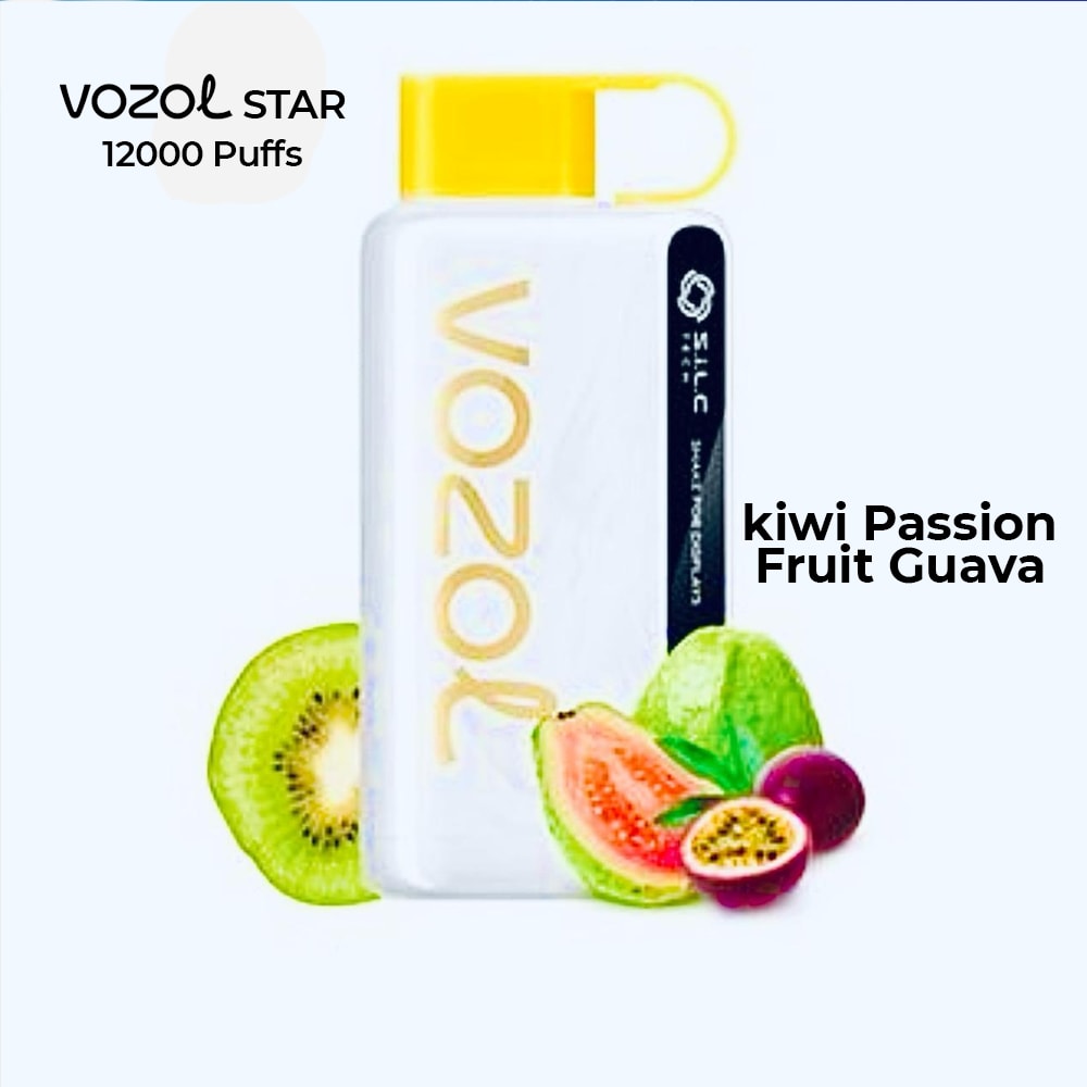 VOZOL STAR 12000 Puffs