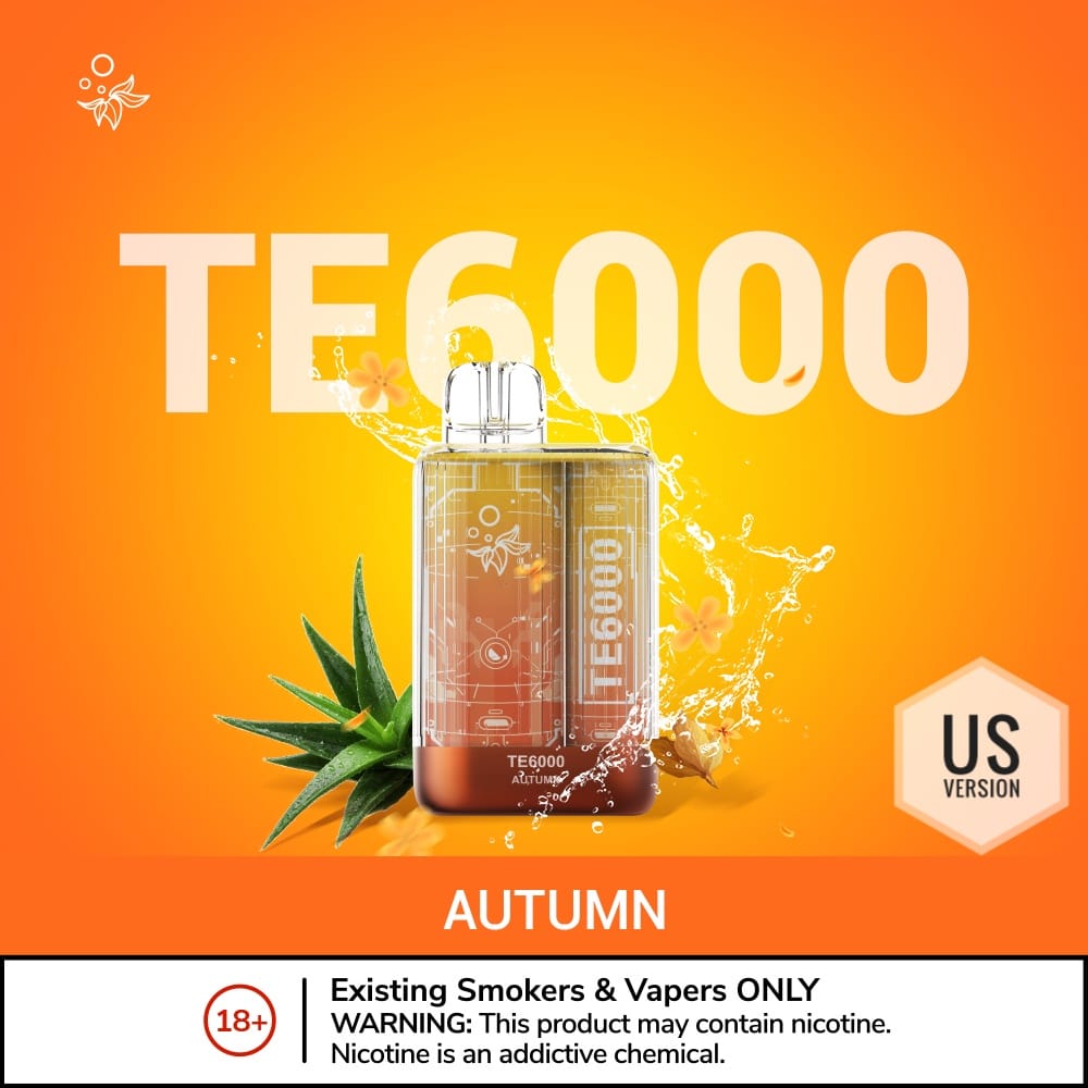 BUY ELFBAR TE6000 US Version Disposable Vape