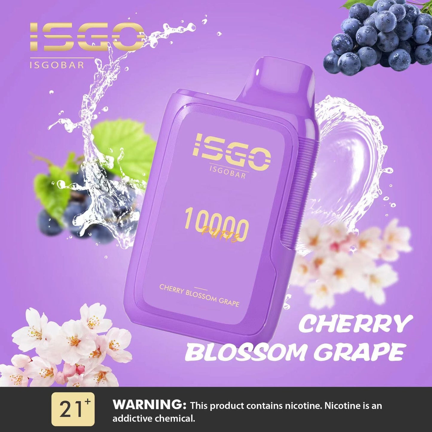 ISGO BAR 10000 Puffs