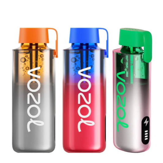 VOZOL NEON 10000 puffs