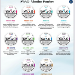 Buy SWAG Nicotine Pouches in Dubai UAE — Slim, Tobacco-Free, Fast Delivery