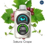 WAKA PA25000 Puffs 50mg Disposable Vape in Dubai UAE - Image 3