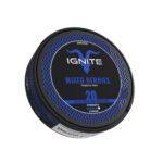 IGNITE Nicotine Pouches UAE - Image 10
