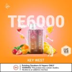 BUY ELFBAR TE6000 (US Version) - Image 5