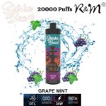 R&M Shisha Beast 20000 Puffs Disposable Vape Device 3mg - Image 2
